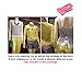5-Pack Male Mannequin Torso, Dress Form Hollow Back Body or T Shirt Display, for Hanging by EZ-Mannequins for Craft Shows, Photos or Design, Easy to Use and Store, for Small - Medium Sizes