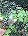 Premium Bypass Pruning Shears- 8'' Professional Hand Pruner- Heavy Duty Garden Clippers- Sharp Blades - Lightweight Tree Trimming Tool