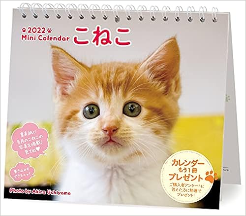 Amazon Co Jp 22ミニカレンダーこねこ カレンダー 内山晟 文房具 オフィス用品 Amazon Co Jp 22ミニカレンダーこねこ カレンダー 内山晟 文房具 オフィス用品