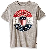 Levi's Big Boys' Levis Graphic Cotton Tee Shirt