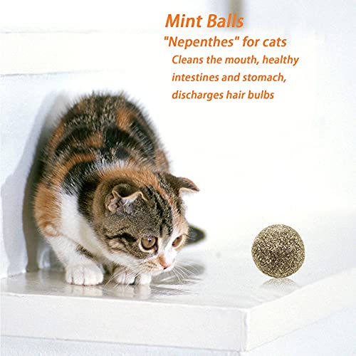furry cat balls