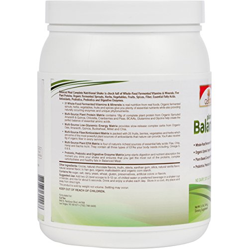 Premium PlantBased Protein Balanced Meal Replacement Shakes