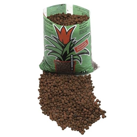 Amazon.com: EUROPALMS – 1-Piece hydroculture SUBSTRAT, color ...
