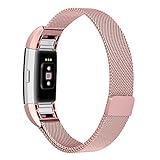 Fitbit Charge 2 Band, ALNBO Milanese Mesh Loop Stainless Steel Replacement Bracelet Strap with Strong Magnet Lock, Rose Gold