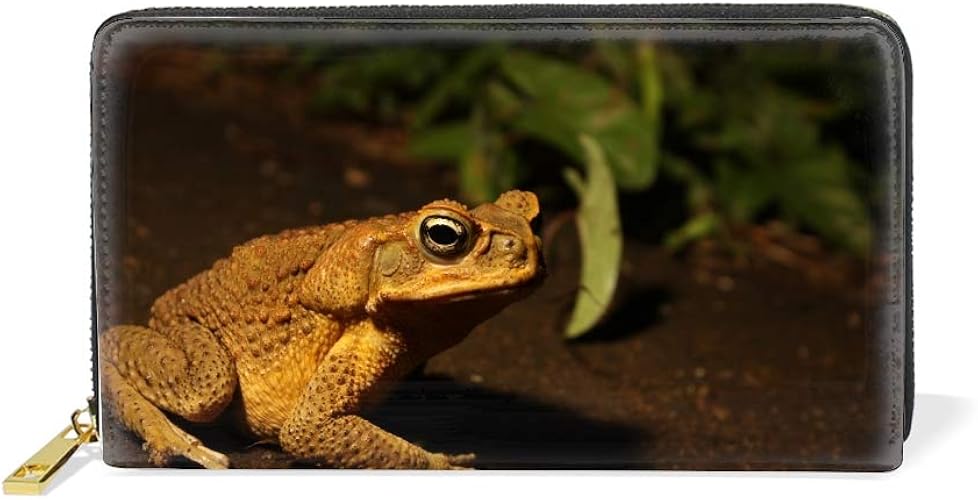 Amazon 長財布 レディース メンズ かわいい おしゃれ 財布 多機能 大容量 カード入れ付き ファスナー式ヒキガエル Rnanmentsstore メンズバッグ 財布