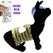 Bolbove Cute 2pcs Male Puppy Belly Band for Small Boy Dogs Incontinence Problems/Training (Bear + Bee, Large)