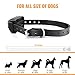 Petrainer PET916-2 Shock Collar for 2 Dogs 100% Waterproof Electric Dog Shock Collar with Remote Rechargeable Dog Training Collar with Beep Vibrating (10-100lbs)