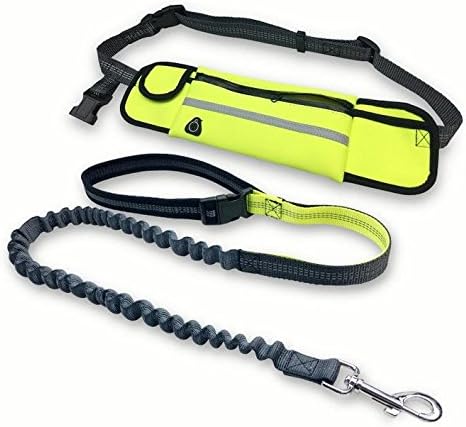 Hands Free Dog Leash with Accessory Pouch,Dog Training Leash for Walking Running Hiking,Bungee for Great Control (Green)