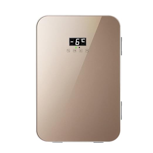 Compra SL&BX Mini nevera coche, Pequeña casa refrigeración doble ...