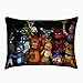 heizifang Custom Five Nights at Freddy's Pillowcase Bear Pillow Cushion Cover Pillowslip Size 20x30 Inch
