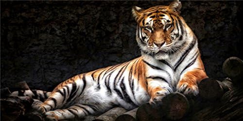 Animal Canvas Prints Tigers Wall Art Painting Prints on Canvas the Picture Oil for Home Modern Decoration Print Modern Giclee Artworks Decor for Kitchen Bedroom Living Room Decoration (24x48inch)