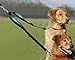 Double Dog Leash Coupler,Adjustable Heavy Duty Dual Dog Leash Splitter Strong for Medium Large Dogs Walking & Training,360°Swivel No Tangle Reflective Dog Leash with Two Comfortable Padded Handle