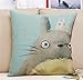 ME COO® Vintage Cartoon Blend Decoration Pillow Case Cute Cartoon Totoro cat Cushion Home Sitting Room Office Zipper Decorative Throw Pillows cojines 17 Inches * 17 Inches (ME-BZXB-37)