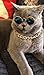 DPLUS Cool Stylish and Funny Cute Pet Sunglasses Pet Goggles - Glasses Set of 5 - Classic Retro Circular Metal Prince Sunglasses for Cat,Chihuahua or Small Dogs (Classic Retro)