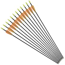 NIKA ARCHERY - Flechas de Fibra de Vidrio para jóvenes, 12 Unidades, 24 Inch