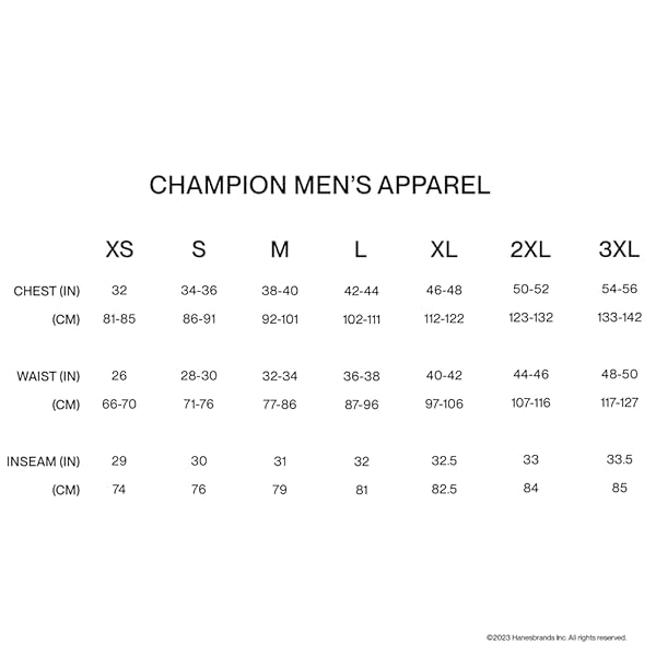 CHAMPION MEN’S HOODIE, POWERBLEND, FLEECE STRIPED SWEATSHIRT FOR MEN (REG. OR BIG & TALL)