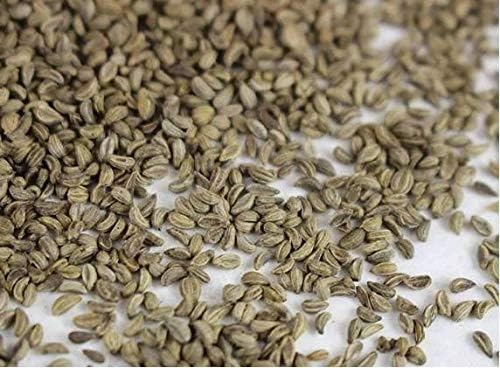 Nature’s Root Organic Parsley Microgreen Seeds 60g - Sprouting Microgreens | High Germination Rate | Fast Growing | 100% Organic | Kraft Pack - Image 4