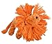 EXPAWLORER Cotton Dental Teaser Puppy Pet Chew Rope Toys for Small Dog Biting 9-inch,Lion