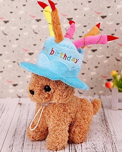 christmas birthday hat