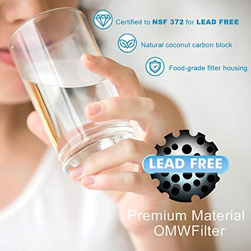 NO.1 Refrigerator Water Filter Compatible with Kenmore 469081 469930