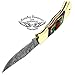 Best.Buy.Damascus1 Multi Color Wood 5.5'' Custom Handmade Damascus Steel Double Brass Bloster with Sharpening Rod Folding Pocket Knife Back Lock Prime Quality Come with Leather Sheath