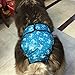 BWOGUE Premium Dog Diapers Female (Pack of 2) with Washable Reusable Sanitary Panties for Small to Large Dogs