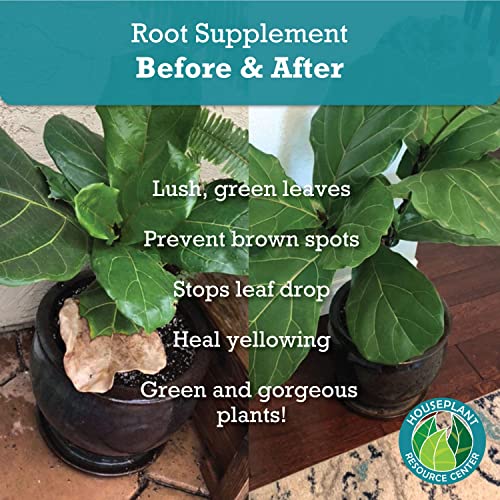 Root Supplement Root Rot Treatment for Fiddle Leaf Fig Tree and Other