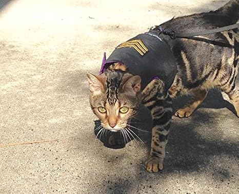 Mynwood Cat Jacket Harness Sergeant On Black Kitten Up To 8month