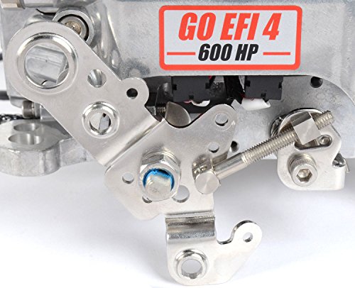 FI-TECH GO EFI4 PLSHD EFIsys