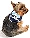 I See Spot It's My Birthday Large Pet Bandana Scarf in Navy
