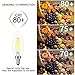 Kohree E12 LED Candelabra Bulb 40W Equivalent, 5000K Daylight White, C35 4W Vintage LED Edison Filament Chandelier Light Bulb, Candle Bulb Non-Dimmable, 12 Packs