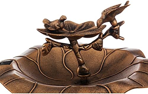 Evergreen backyard house decoration featuring a unique bird design.