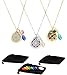3 Essential Oil Diffuser Necklaces - Aromatherapy Jewelry - $17.99 Each - Hypoallergenic 316L Surgical Grade Stainless Steel, 20.8” Chain + 8 Washable Insert Pads + Charms ($17.99 Each)