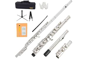 VANPHY Closed Hole C Flute 16 Keys Nickel-Plated Flutes For Beginners Student Flute Instrument With Case Stand Cleaning Cloth Gloves Tuning Rod (Silver)