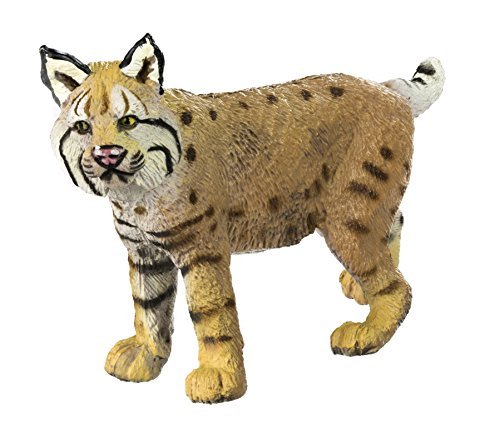 Safari Ltd Wild Safari North American Wildlife Bobcat by Safari Ltd.