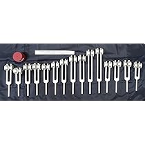 Amazon.com: Crabby Human Organ Weighted 15 Set of Tuning