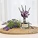 COCODOR Preserved Real Flower Reed Diffuser/French Lavender / 6.7oz(200ml) / 1 Pack/Reed Diffuser Set, Oil Diffuser & Reed Diffuser Sticks, Home Decor & Office Decor, Fragrance and Gifts