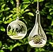 Siyaglass 2/Packing Hanging Terrarium Glass Vase Flower Plant Decoration-Orb and Teardrop