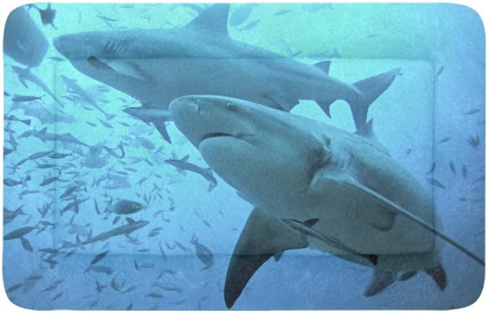 shark dog bed extra large