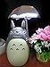Totoro Anime LED Night Light [Green Belly], Kid's Character Lamp USB Charge, Desk Night Table Reading Lamp