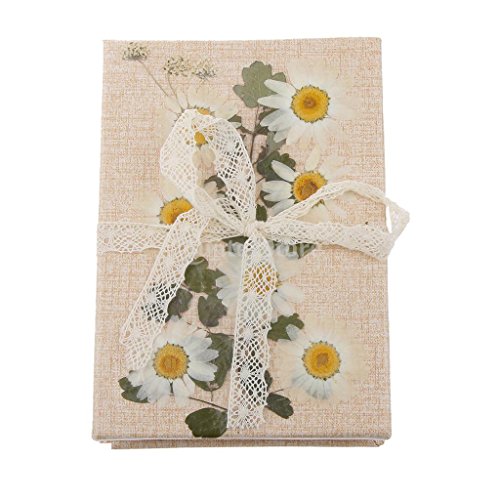 image for MonkeyJack 10 Pieces 1- 2cm Mini Pressed Dried Ammi majus Flower For R