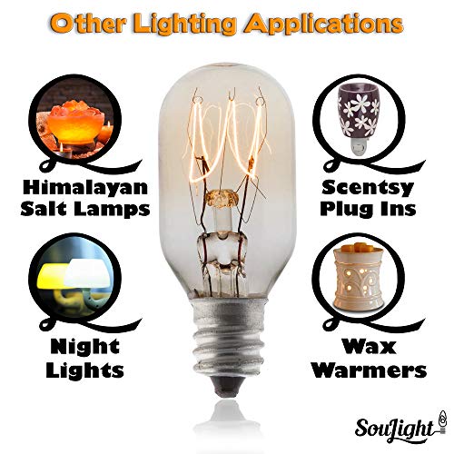 Salt Rock Lamp Bulb 10 Pack + 2 Free 15 Watt Replacement Bulbs for