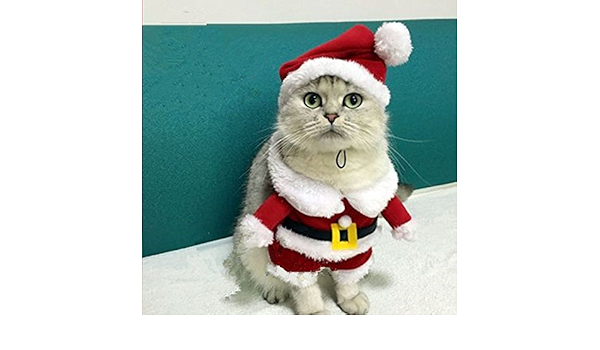 christmas cat suit jacket