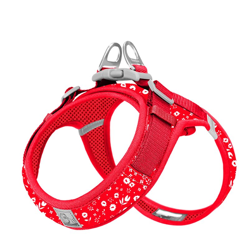 WINHYEPET Truelove Dog Harness Soft Mesh Reflective Breathable Step-In Dog Harness,Easy Adjustment Harness with Safety Buckle for Extra Small and Small Dogs, Vest Harness TLH3013(Poinsettia,XS) — image 1