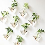 Best Idea Design Home Furnishing Geometrical Shape Wall Hung Water Planting Glass Vase