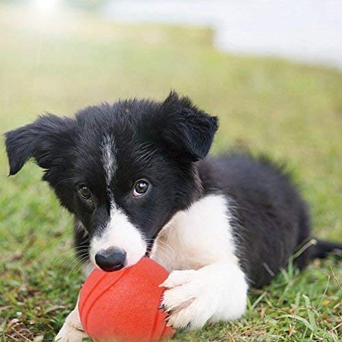 Hard Rubber Balls for Dogs,Dog's Solid Rubber Bouncy Ball Bite