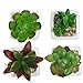Set of 4 Small Green Plastic Artificial Succulent Plants in Mini Modern White Ceramic Planter Pots