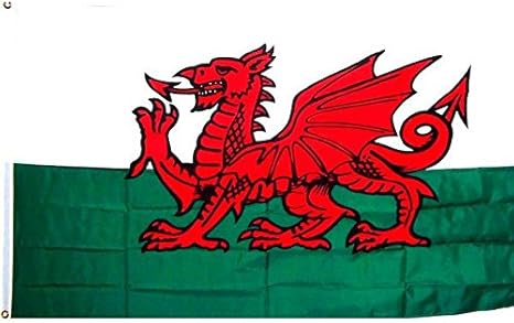 Amazon 国旗 ウェールズ 国獣 赤い竜 90cmx150cm 特大フラッグ ノーブランド品 地図 国旗 ホビー