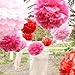 LINGSFIRE 10 Pack 10 Inch Tissue Paper Flower Ball Pom-poms for Party/Wedding/Home/Outdoor Decoration (Red)