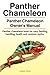 Panther Chameleon. Panther Chameleon Owner's Manual. Panther Chameleon book for care, feeding, handl by Jonathan Durham